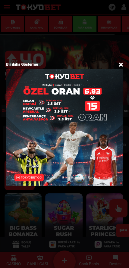 Ekran 1